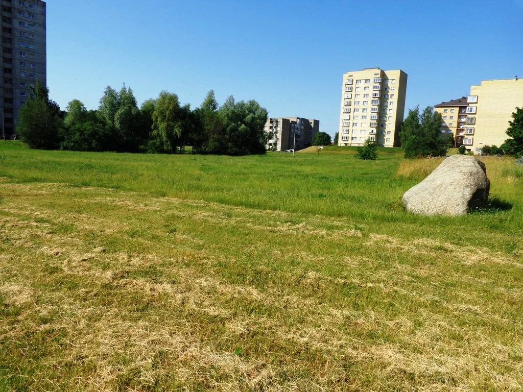 участок Alytuje Vidzgiryje, Jurgiškių g. – изображение 5
