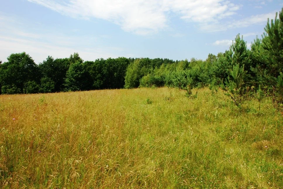 Sklypas Vilniaus rajono sav., Mozūriškėse – nuotrauka 3