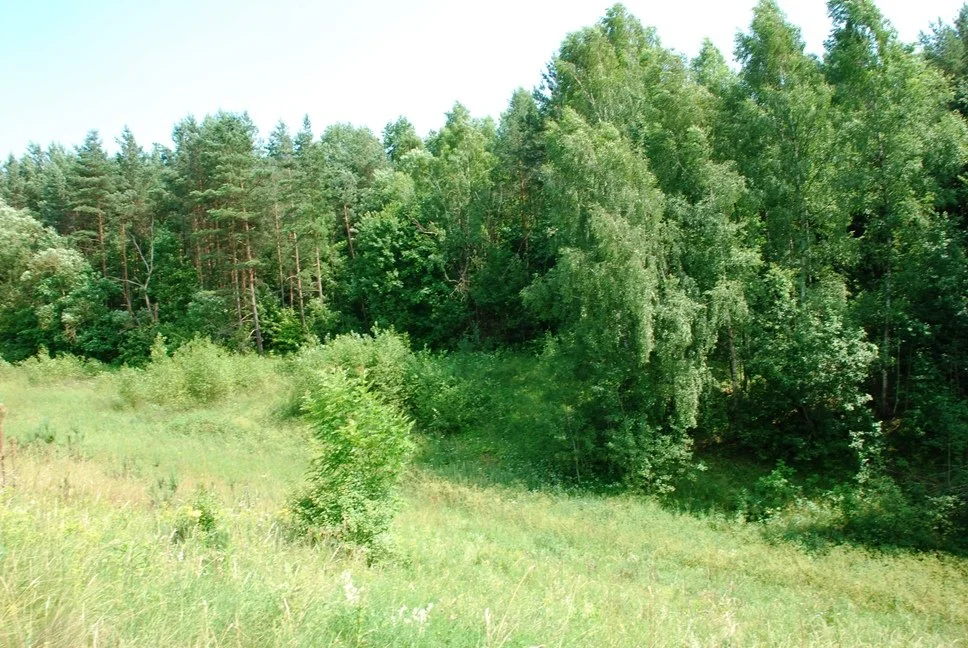 Sklypas Vilniaus rajono sav., Mozūriškėse – nuotrauka 4