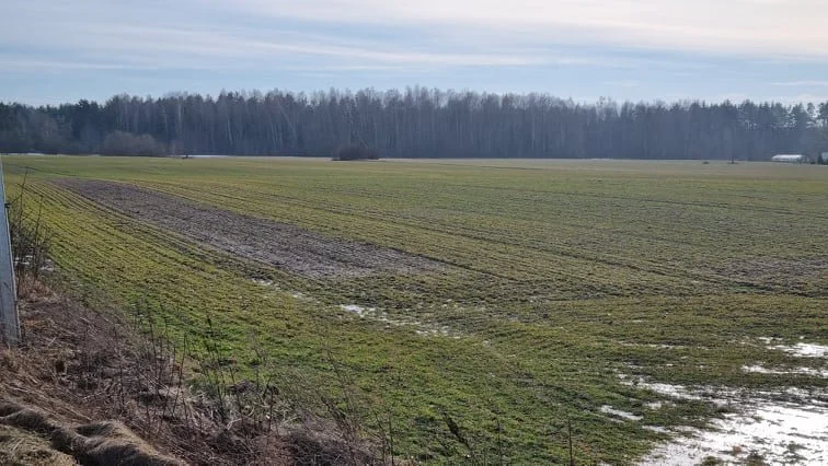 plot Kauno rajono sav., Gaižėnuose, Luobinės g. – image 4