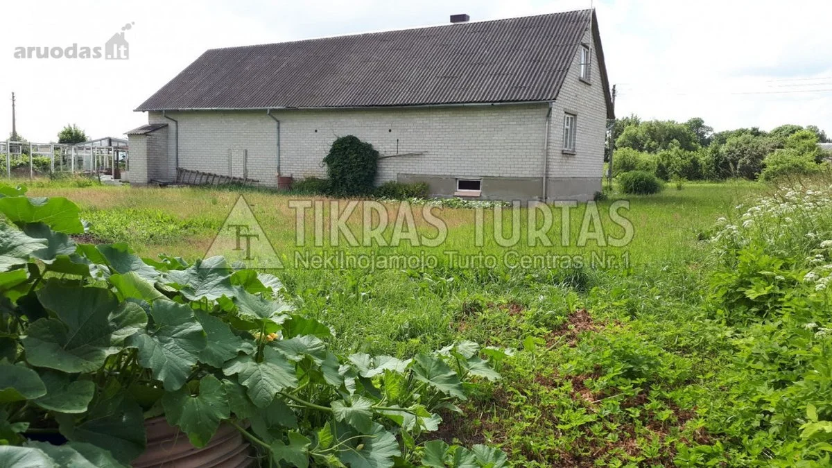 Kita Klaipėdos rajono sav., Doviluose, Klaipėdos g. – nuotrauka 3