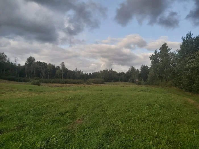Sklypas Druskininkų sav., Guobiniuose, Pamiškio g. – nuotrauka 4