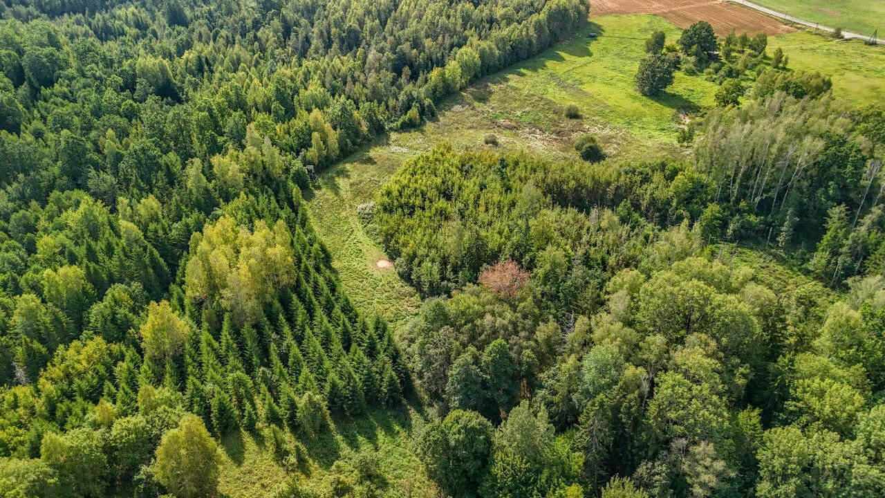 Sklypas Druskininkų sav., Guobiniuose, Pamiškio g. – nuotrauka 3