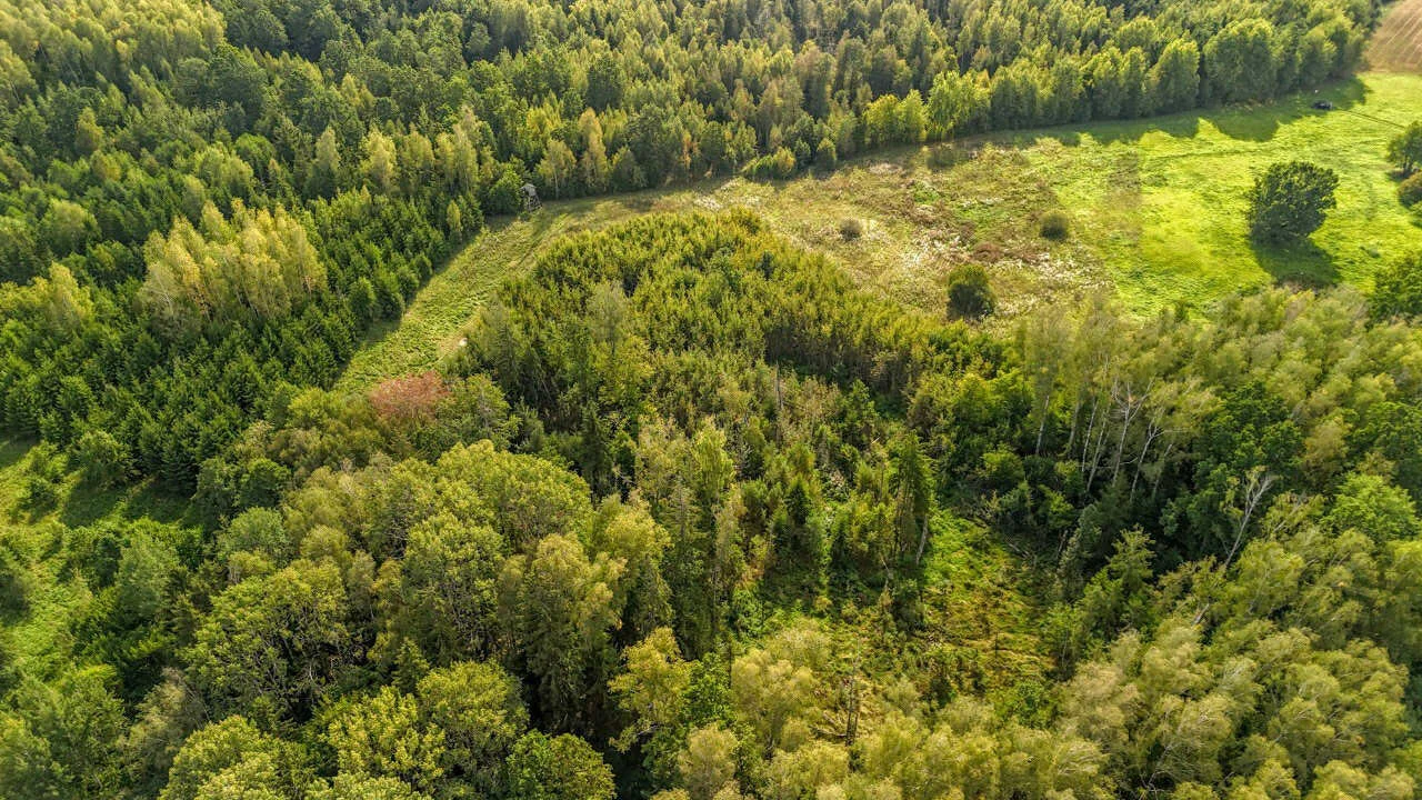 Sklypas Druskininkų sav., Guobiniuose, Pamiškio g. – nuotrauka 6