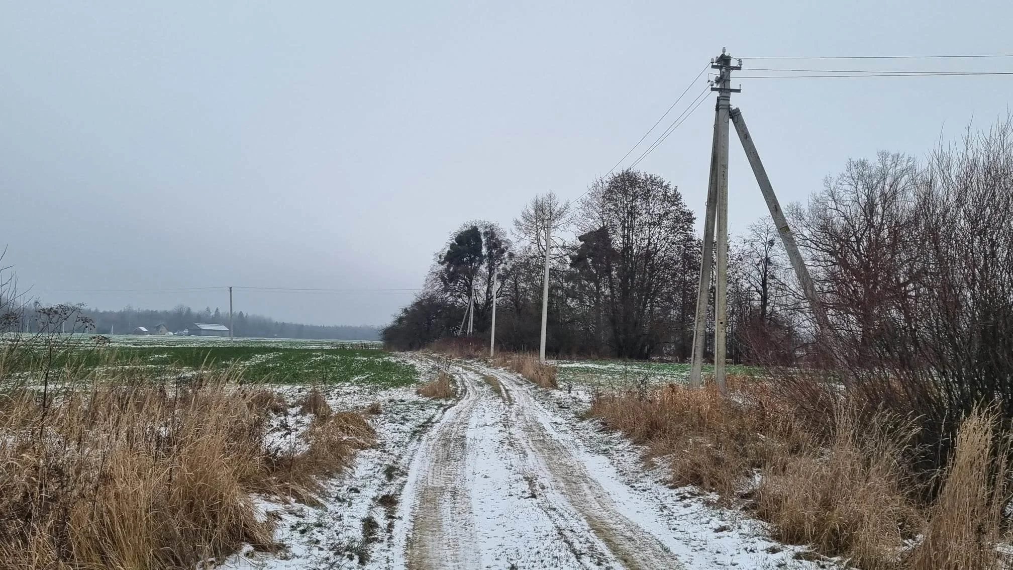 Sklypas Kauno rajono sav., Girininkai I, Eglyno g. – nuotrauka 4