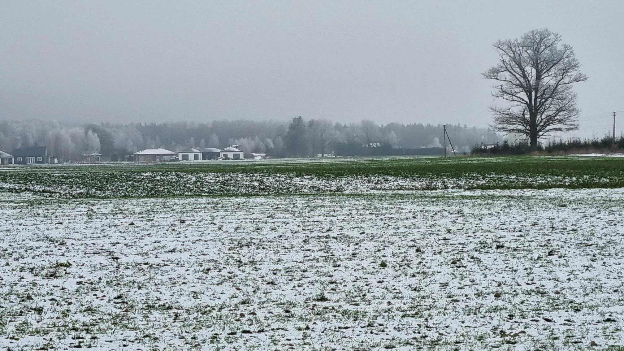 Sklypas Kauno rajono sav., Girininkai II, Pienių g. – nuotrauka 3