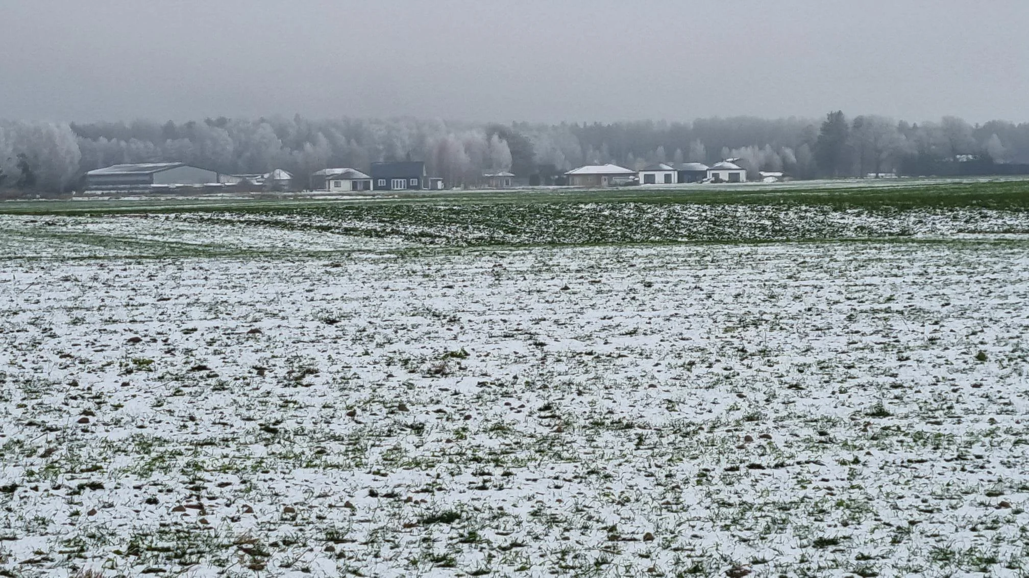 Sklypas Kauno rajono sav., Girininkai II, Pienių g. – nuotrauka 4