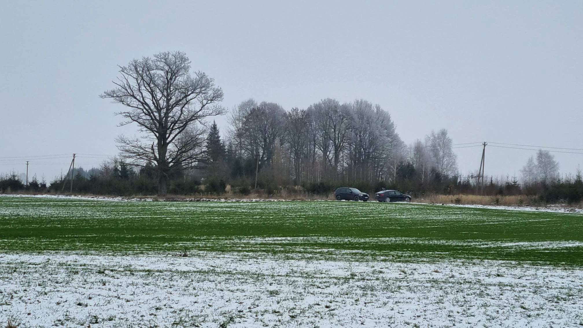 Sklypas Kauno rajono sav., Girininkai II, Pienių g. – nuotrauka 5