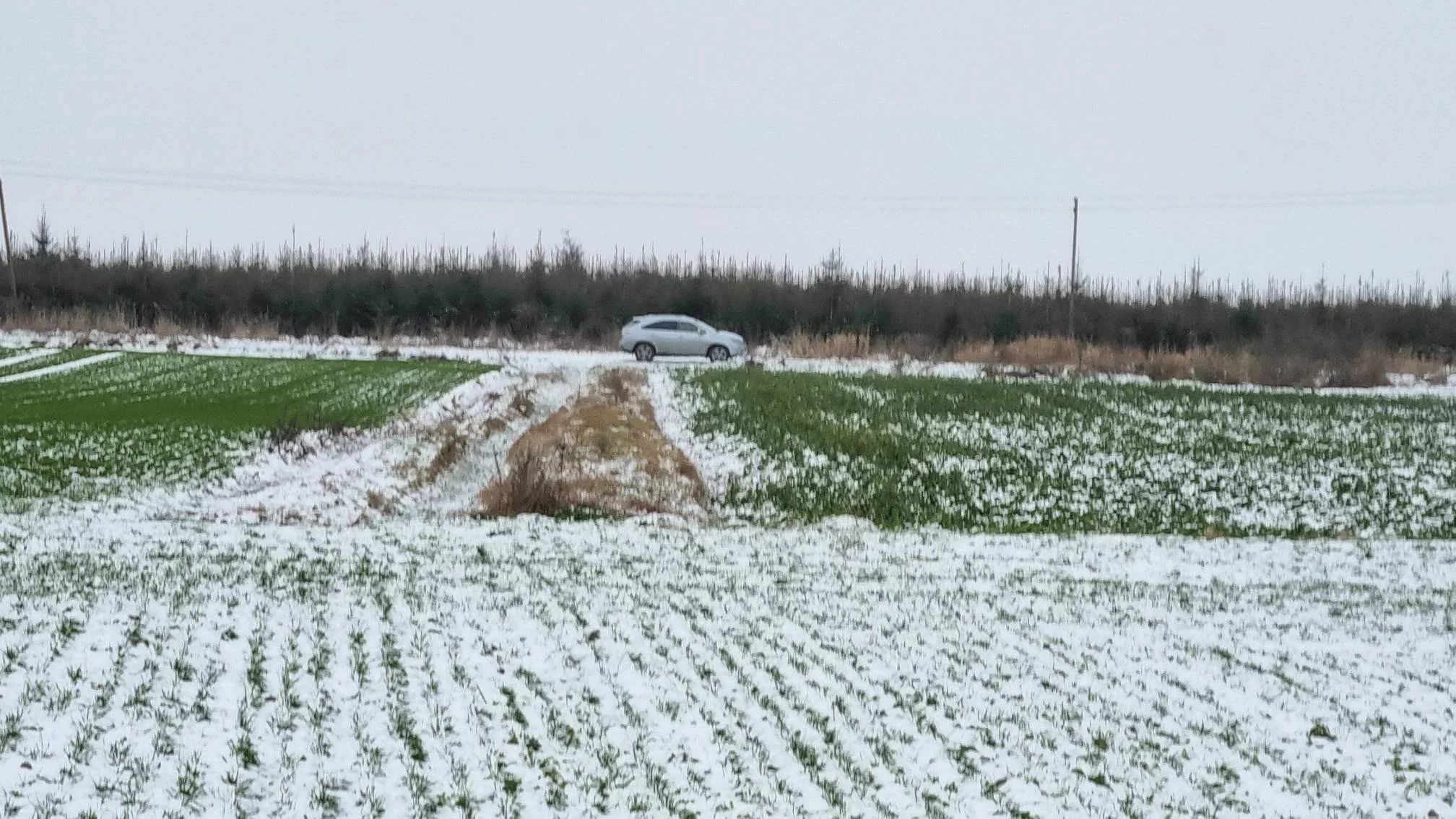 Sklypas Kauno rajono sav., Girininkai II, Pienių g. – nuotrauka 6