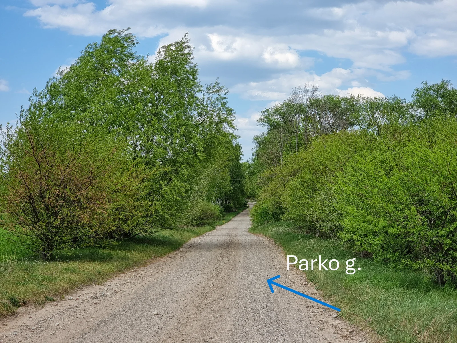 Sklypas Kretingos rajono sav., Pryšmančiuose, Parko g. – nuotrauka 6
