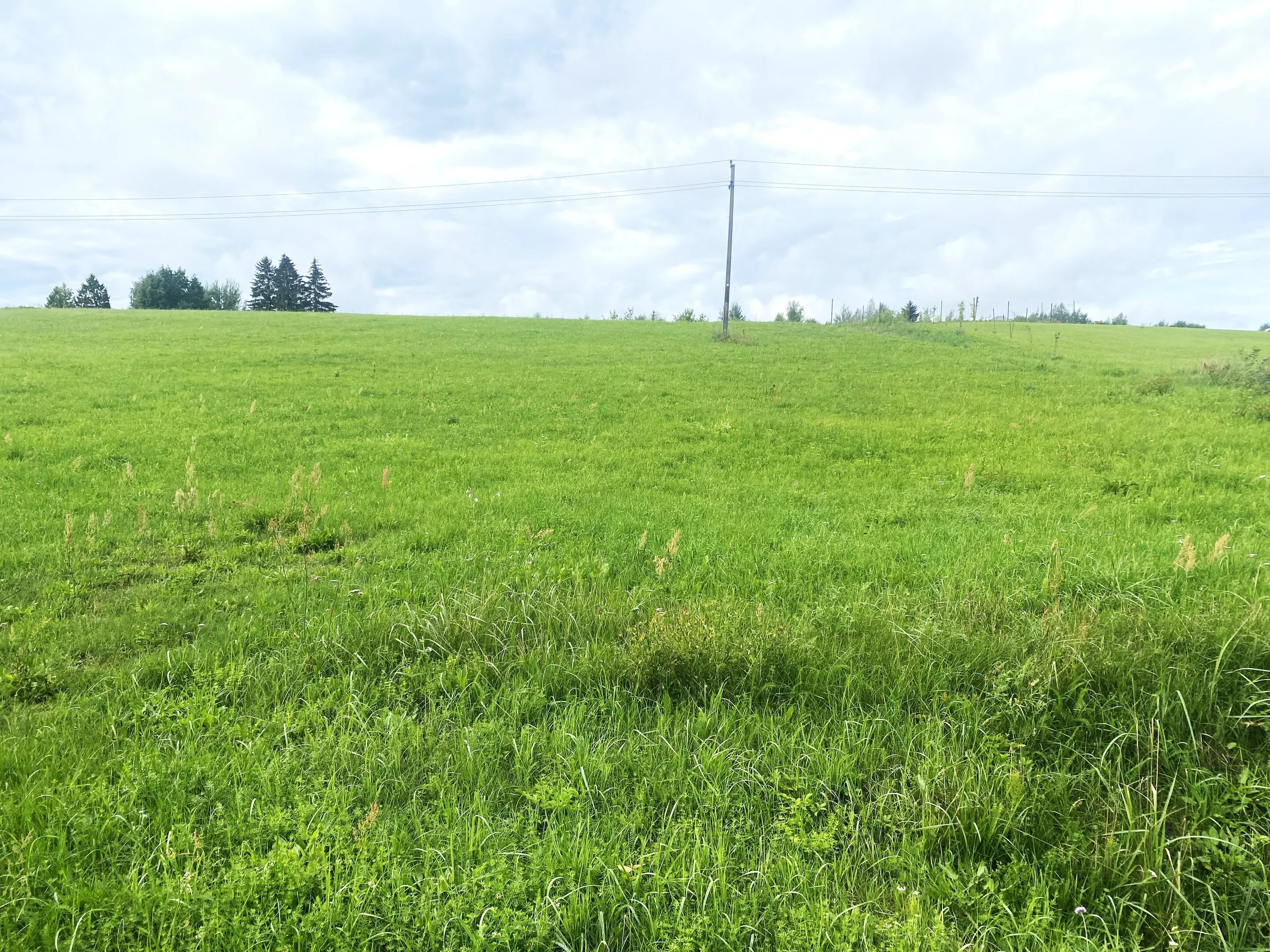 Sklypas Utenos rajono sav., Sudeikiuose, Pakrantės g. – nuotrauka 4