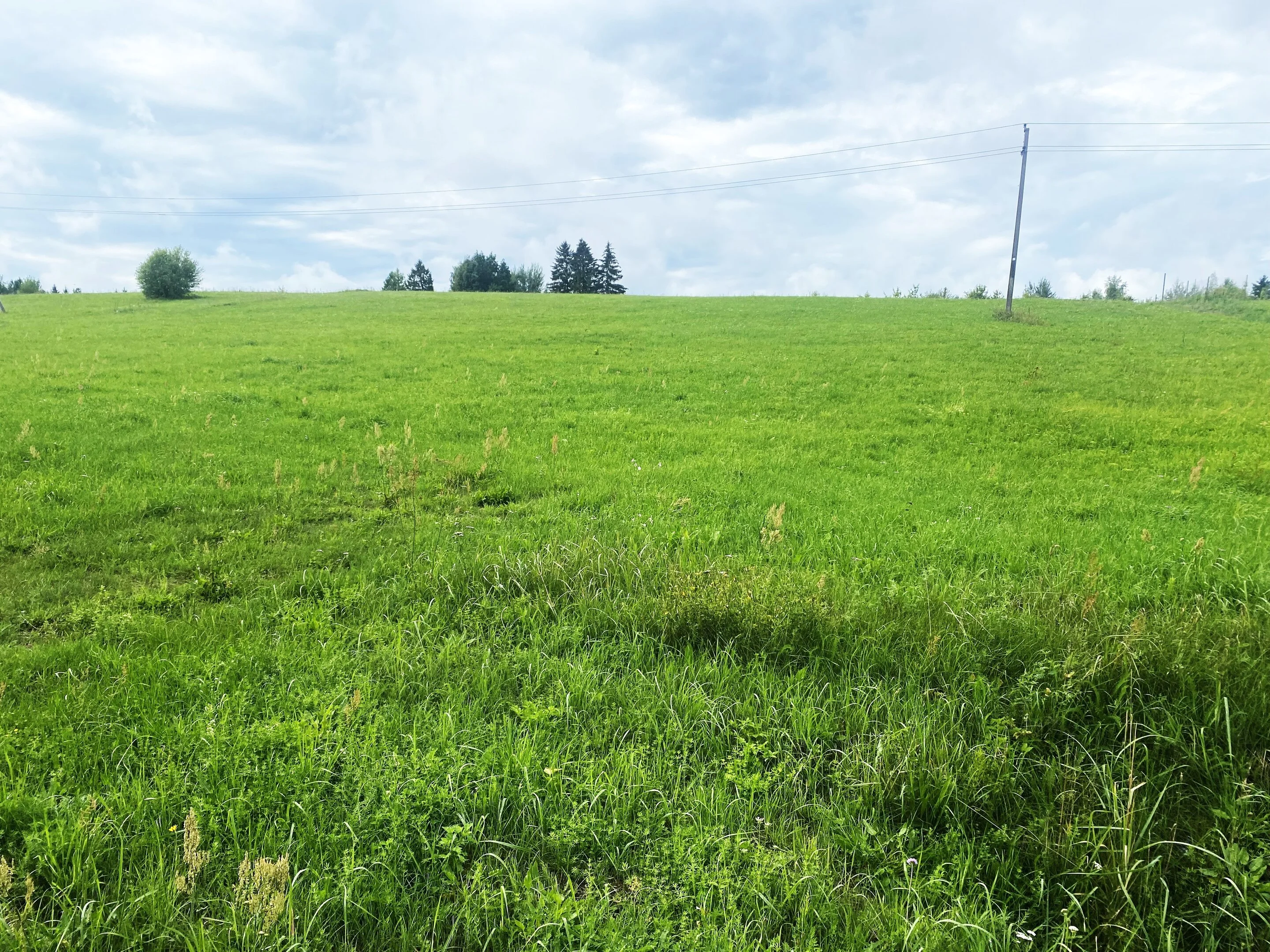 Sklypas Utenos rajono sav., Sudeikiuose, Pakrantės g. – nuotrauka 5