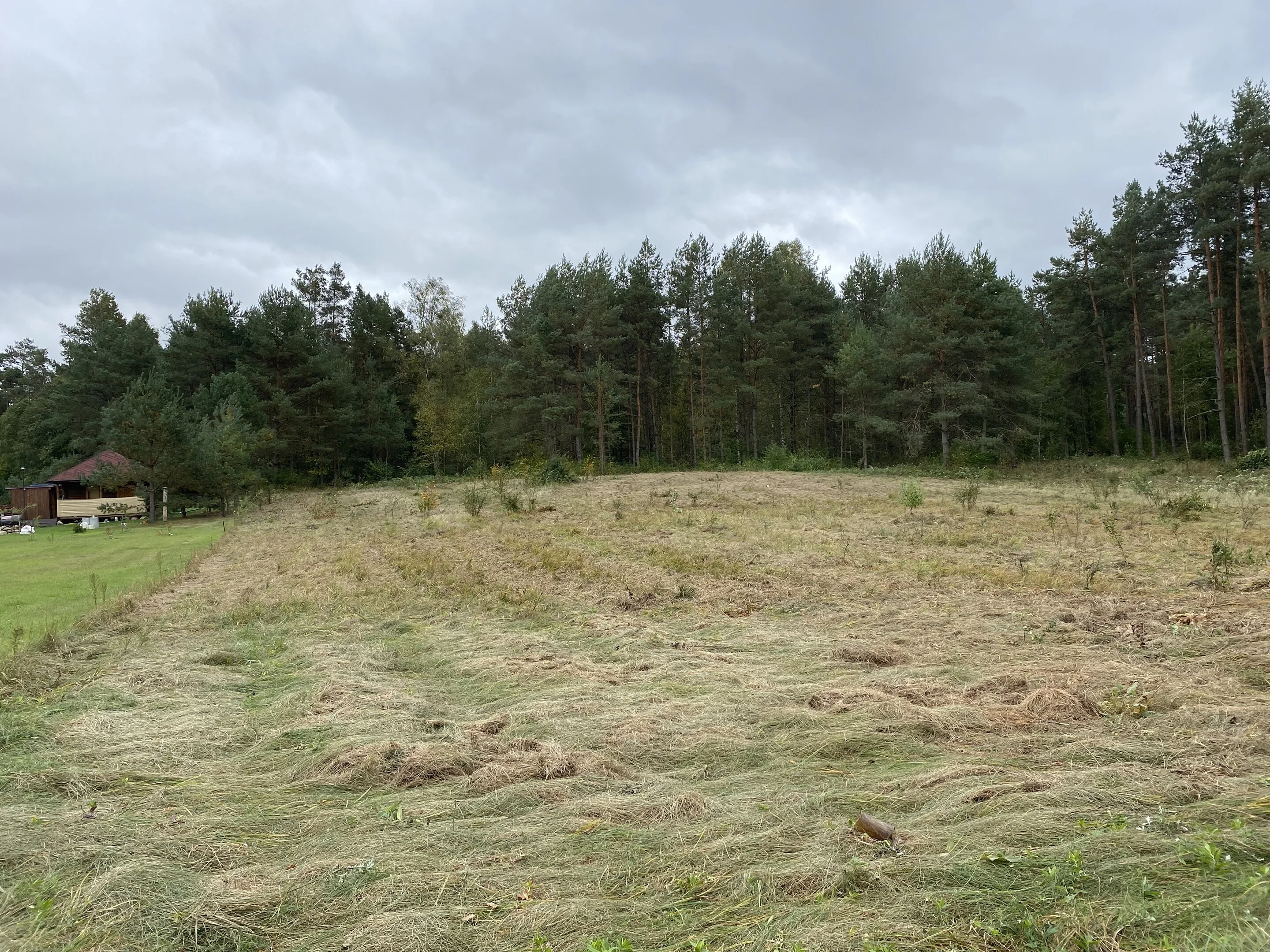 Sklypas Lazdijų rajono sav., Burbuose, Bažnytkalnio g. – nuotrauka 5