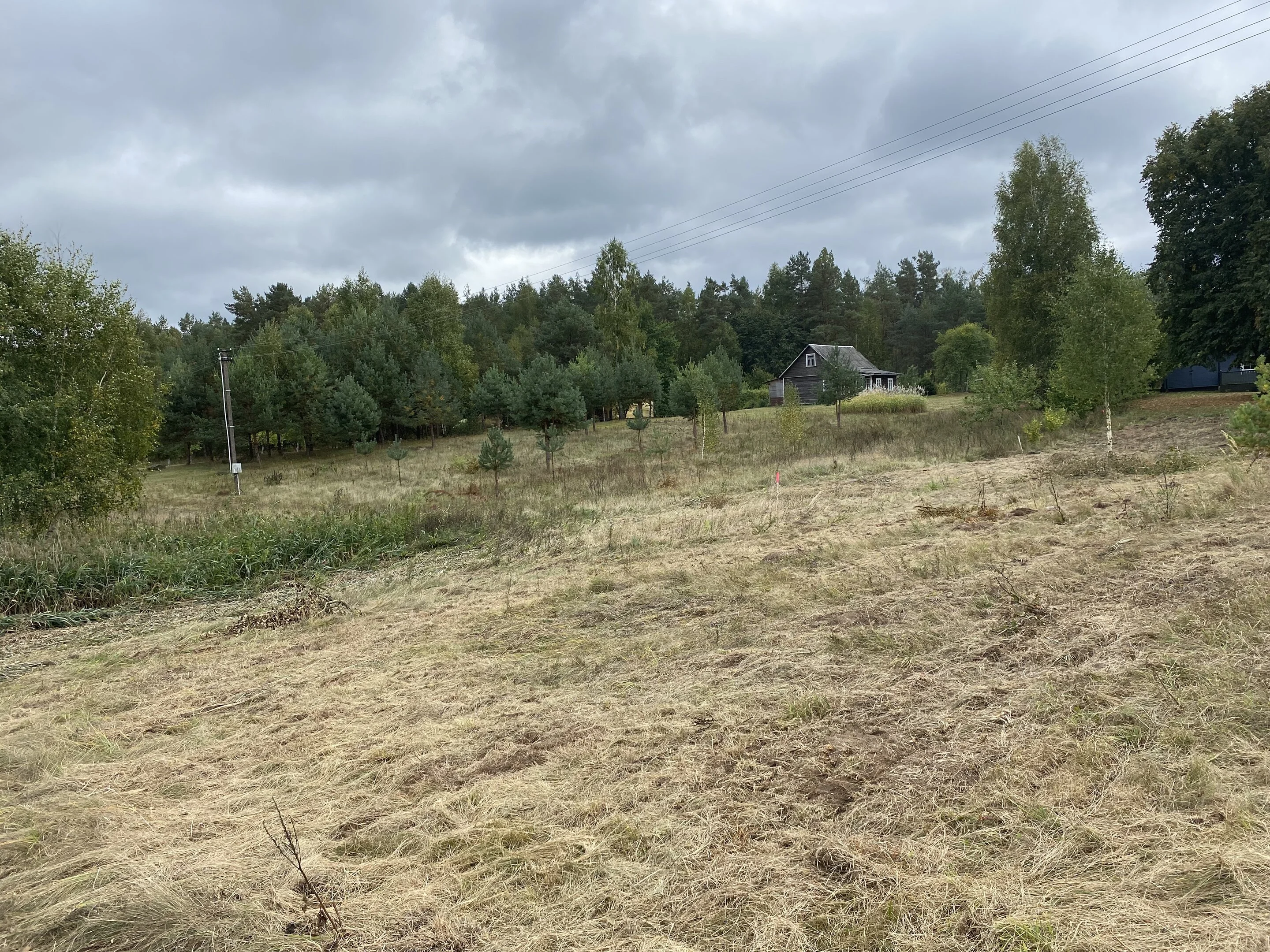 Sklypas Lazdijų rajono sav., Burbuose, Bažnytkalnio g. – nuotrauka 6