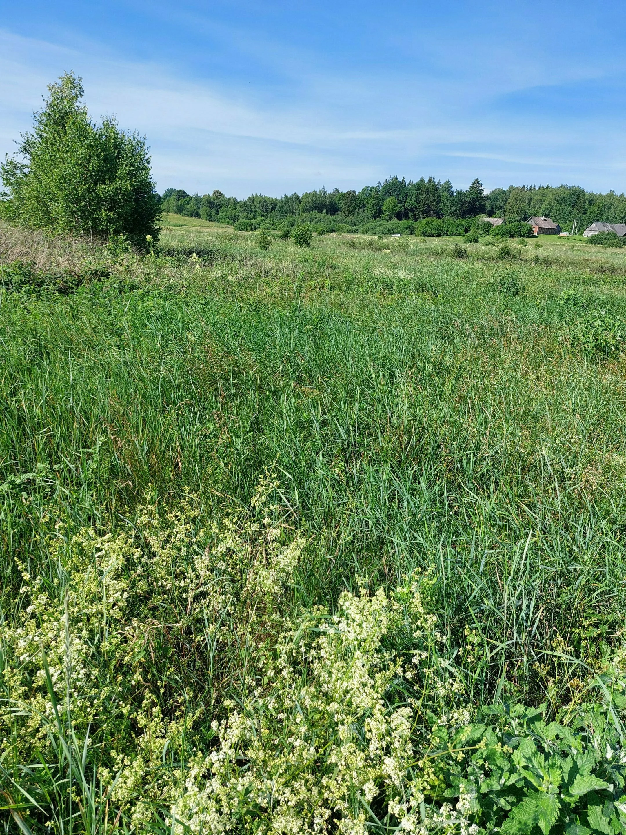 Sklypas Vilniaus rajono sav., Barliškėse – nuotrauka 3