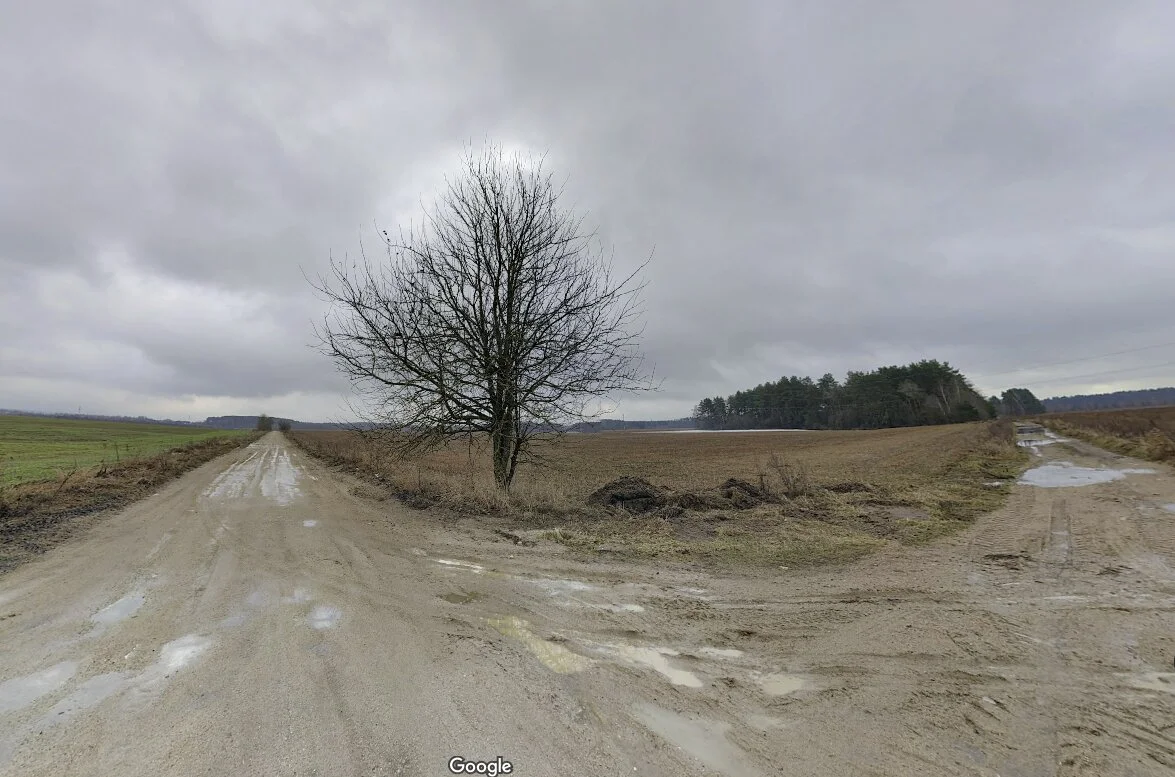 Sklypas Vilnius, Guobos – nuotrauka 4
