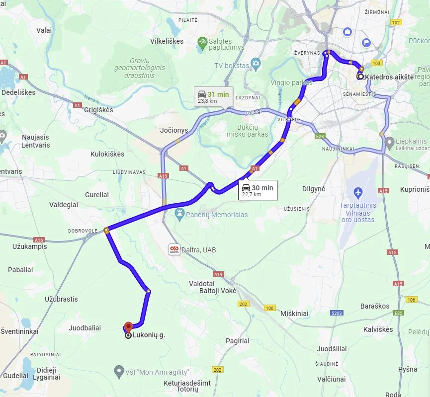 Sklypas Vilnius, Guobos – nuotrauka 6