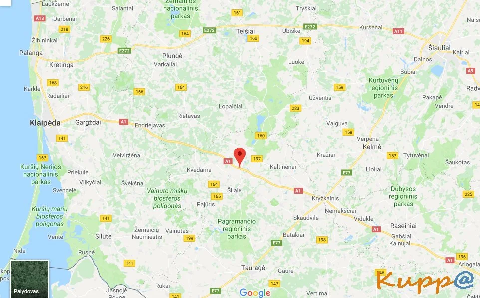 Sklypas Šilalės rajono sav. – nuotrauka 6