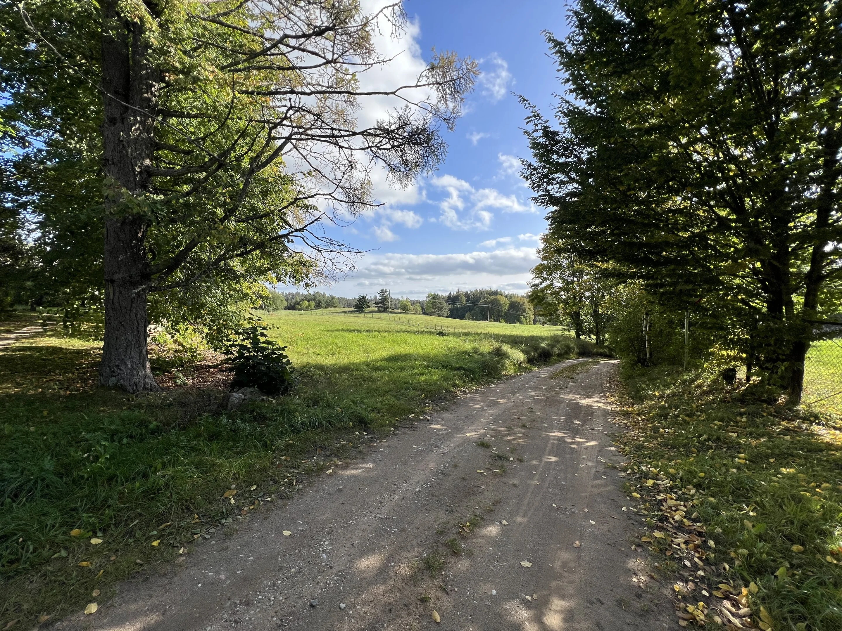 Sklypas Šiaulių rajono sav. – nuotrauka 6