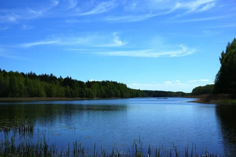 Sklypas Ignalinos rajono sav., Navikuose – nuotrauka 3
