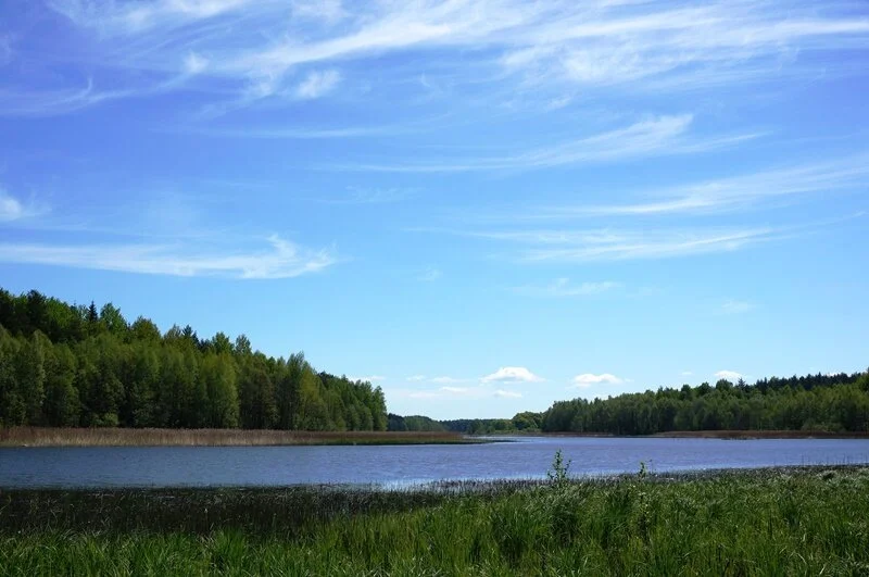 Sklypas Ignalinos rajono sav., Navikuose – nuotrauka 4