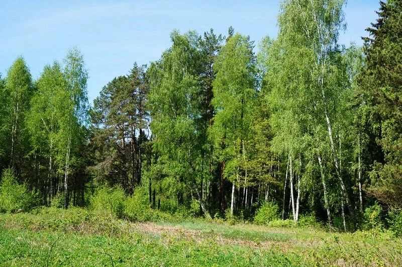 Sklypas Ignalinos rajono sav., Navikuose – nuotrauka 5