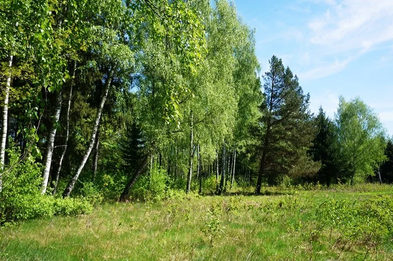 Sklypas Ignalinos rajono sav., Navikuose – nuotrauka 6