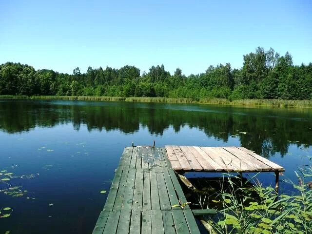 Sklypas Zarasų rajono sav., Daneikiuose – nuotrauka 3