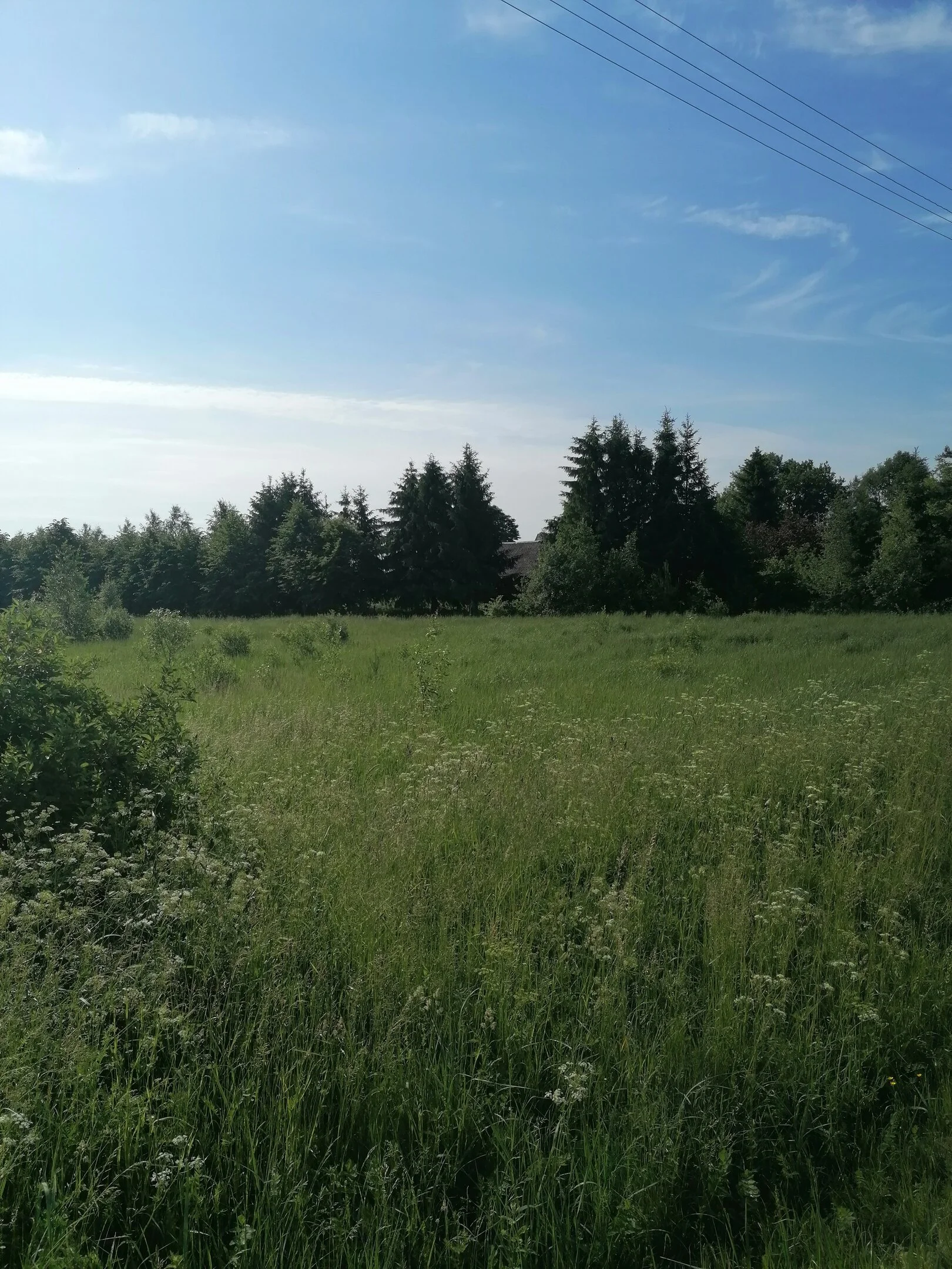 участок Klaipėdos rajono sav., Baičiuose, Stučių g. – изображение 3