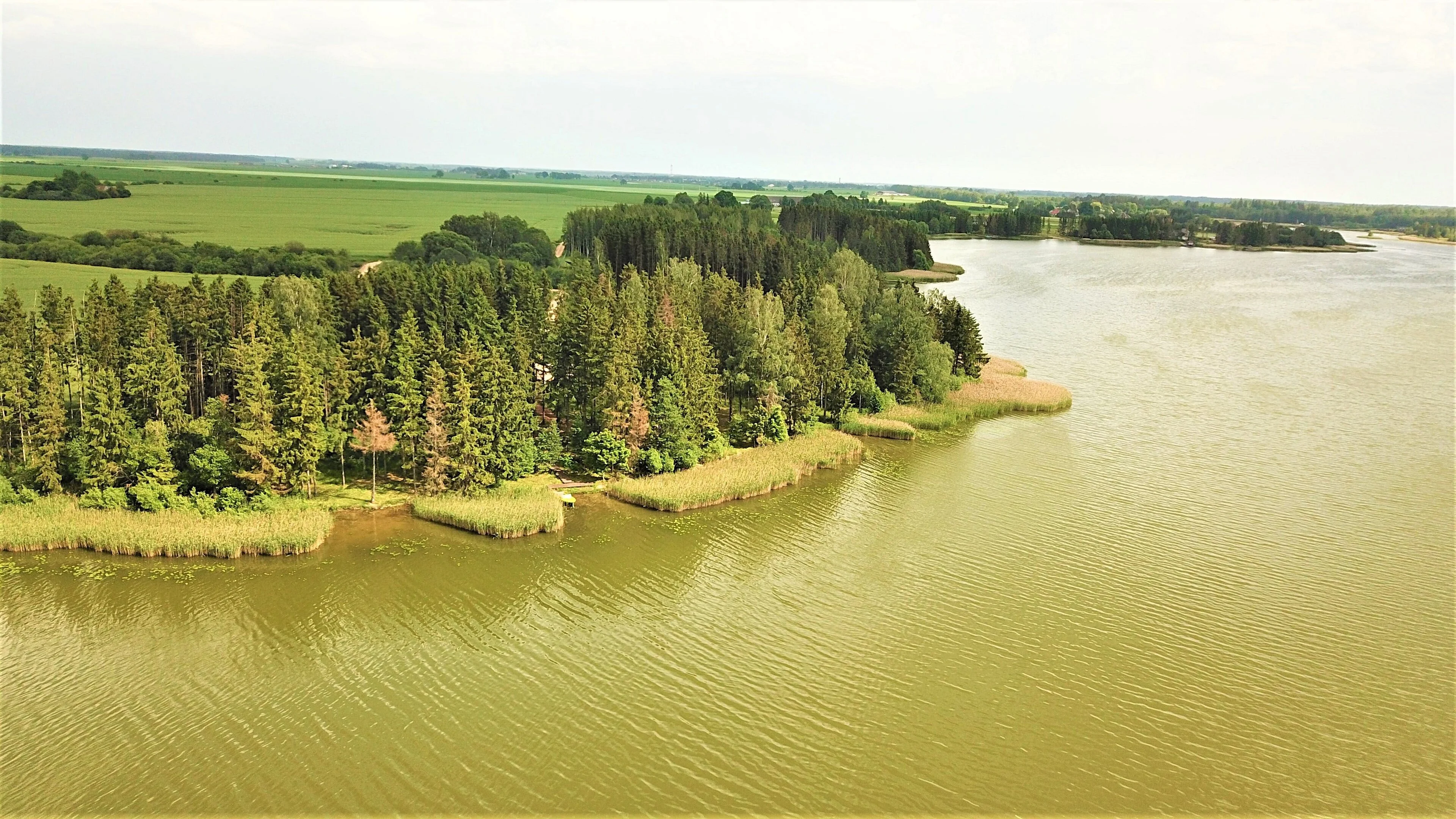 Sklypas Radviliškio rajono sav., Paežeriuose – nuotrauka 4