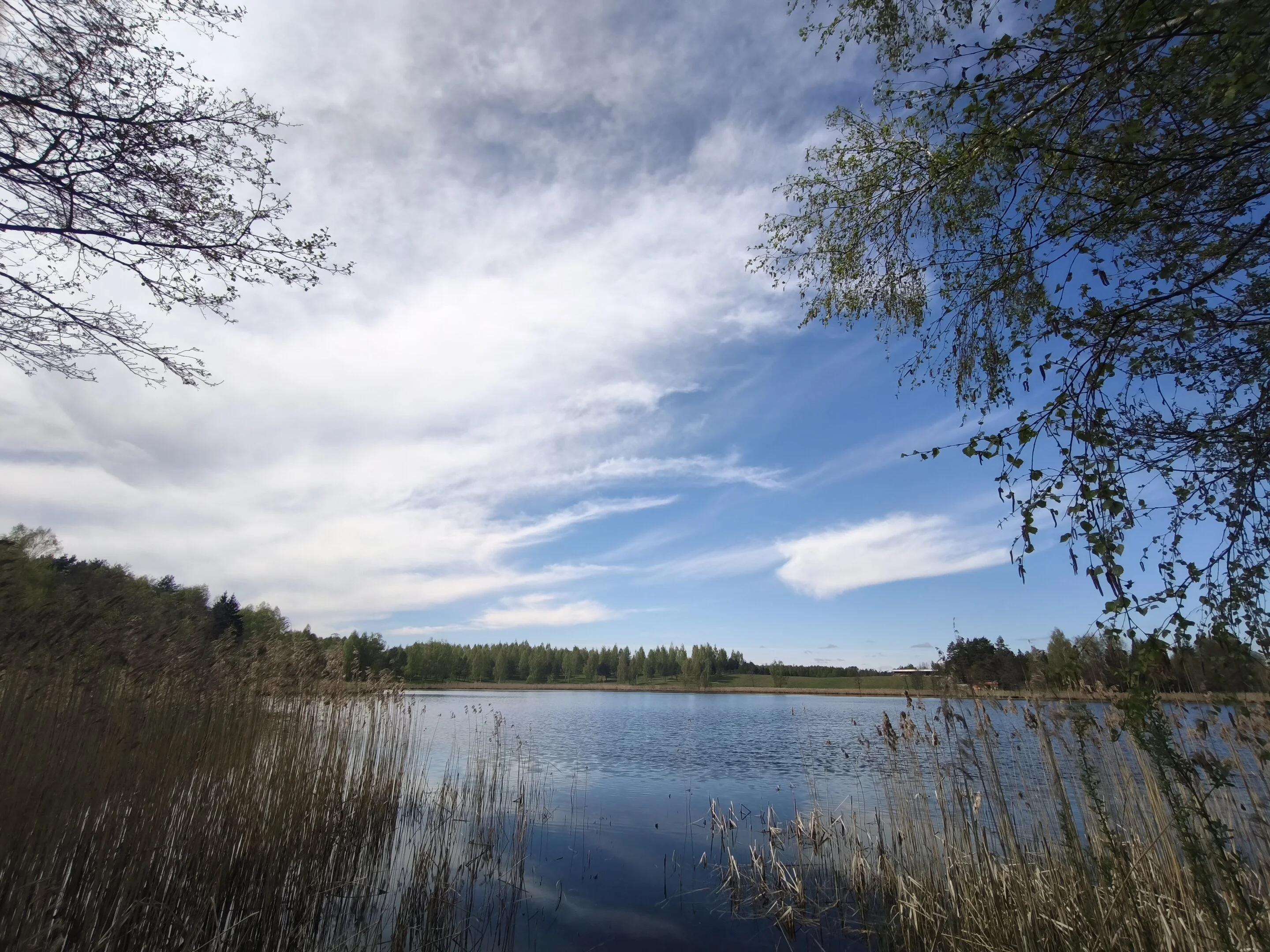 Sklypas Molėtų rajono sav., Kazimieravoje – nuotrauka 3