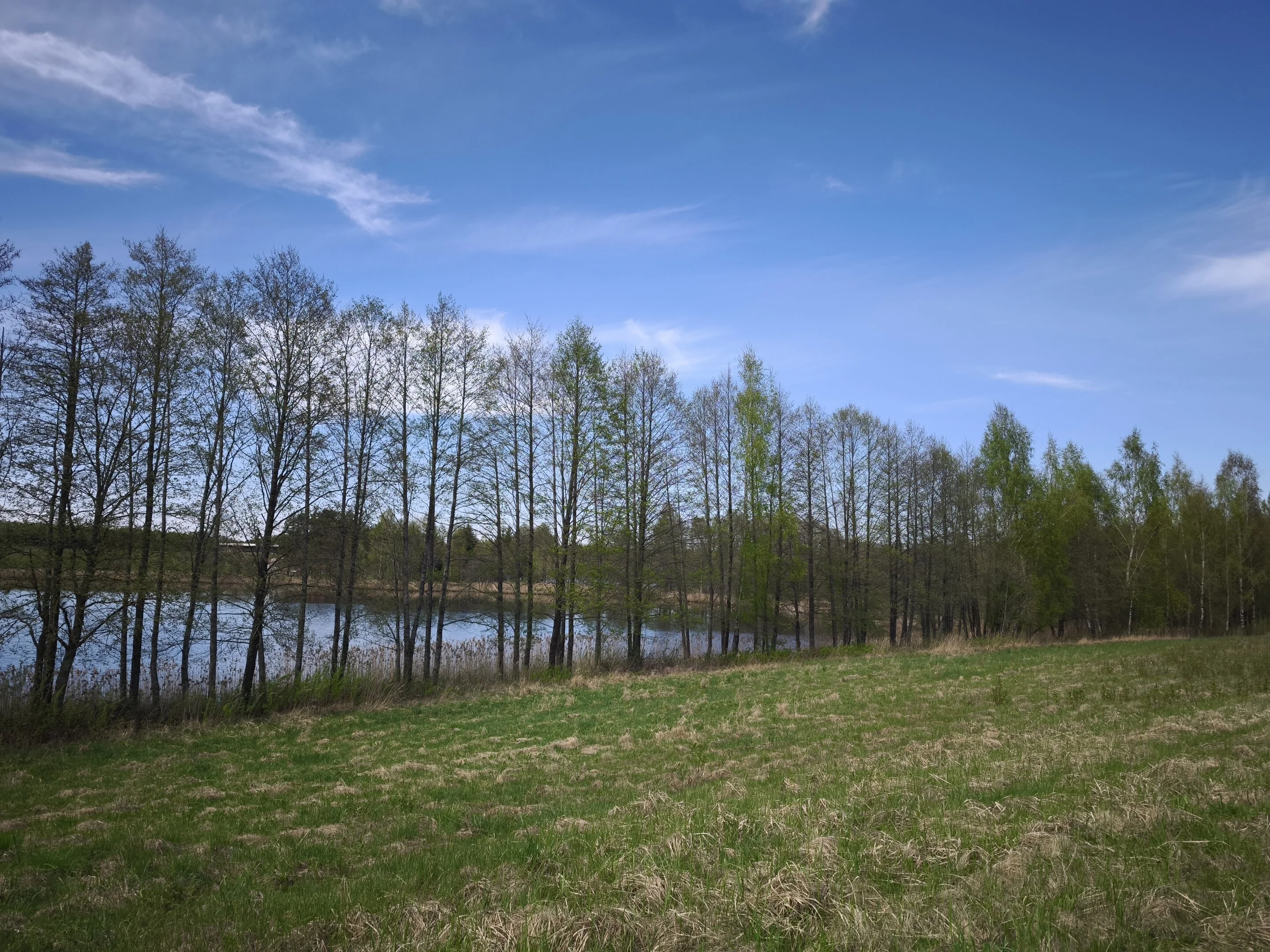 Sklypas Molėtų rajono sav., Kazimieravoje – nuotrauka 4