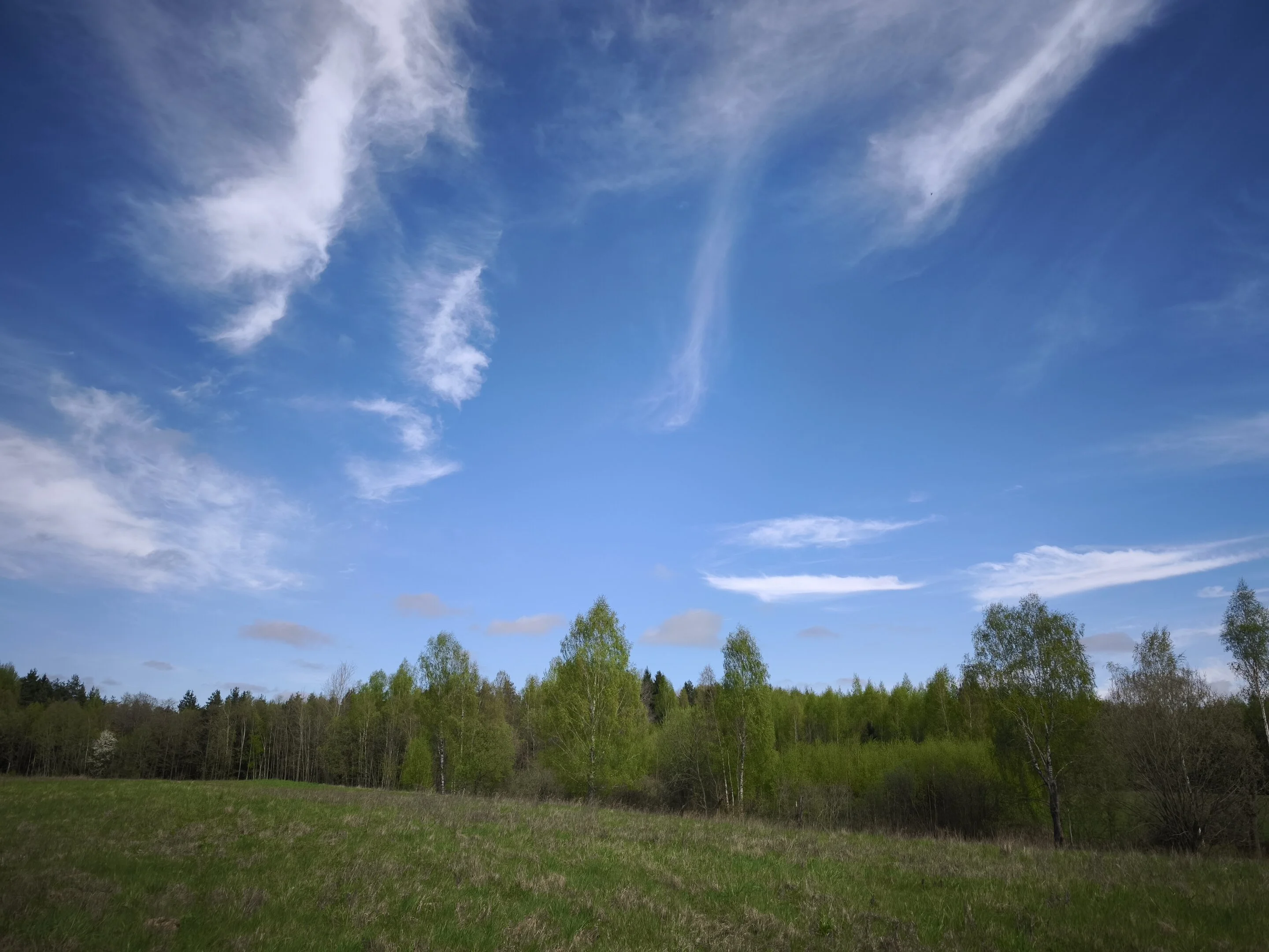 Sklypas Molėtų rajono sav., Kazimieravoje – nuotrauka 5