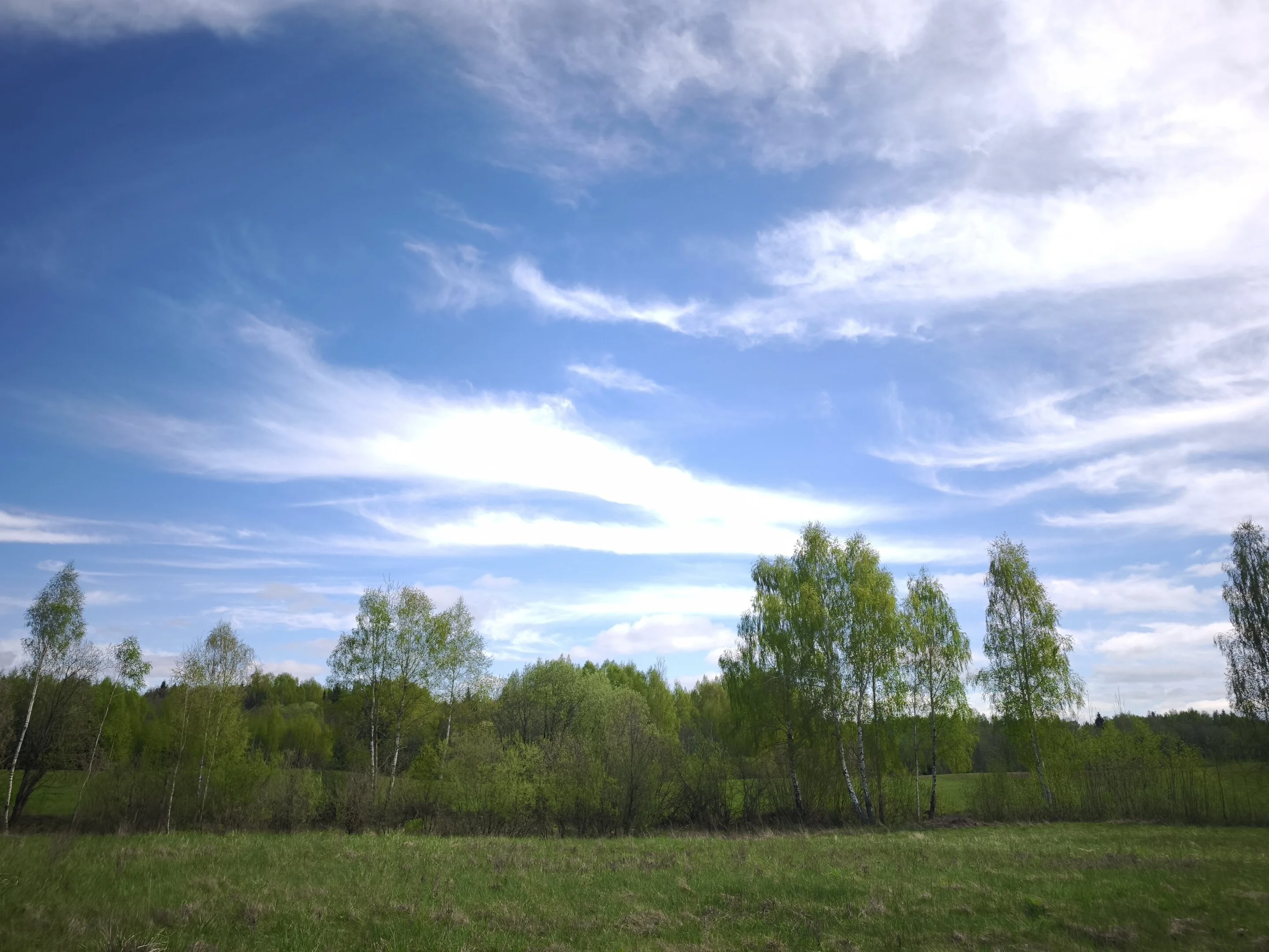 Sklypas Molėtų rajono sav., Kazimieravoje – nuotrauka 6