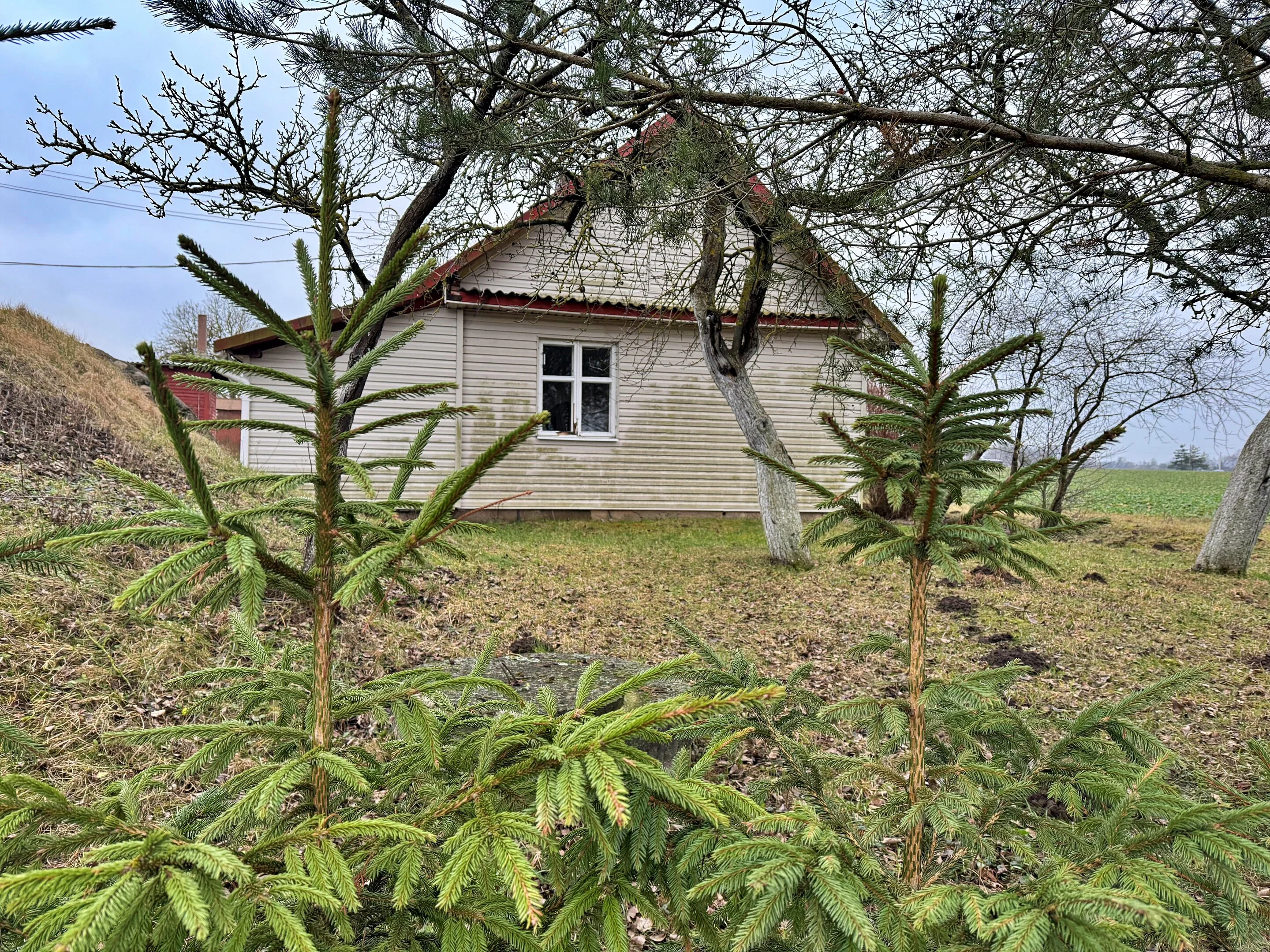 Sodyba Panevėžio rajono sav., Dvaro g. – nuotrauka 6