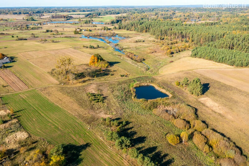 Farmstead Varėnos rajono sav., Mokyklos g. – image 5