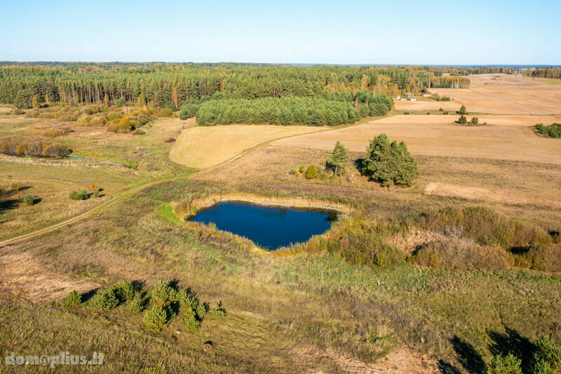 Farmstead Varėnos rajono sav., Mokyklos g. – image 3