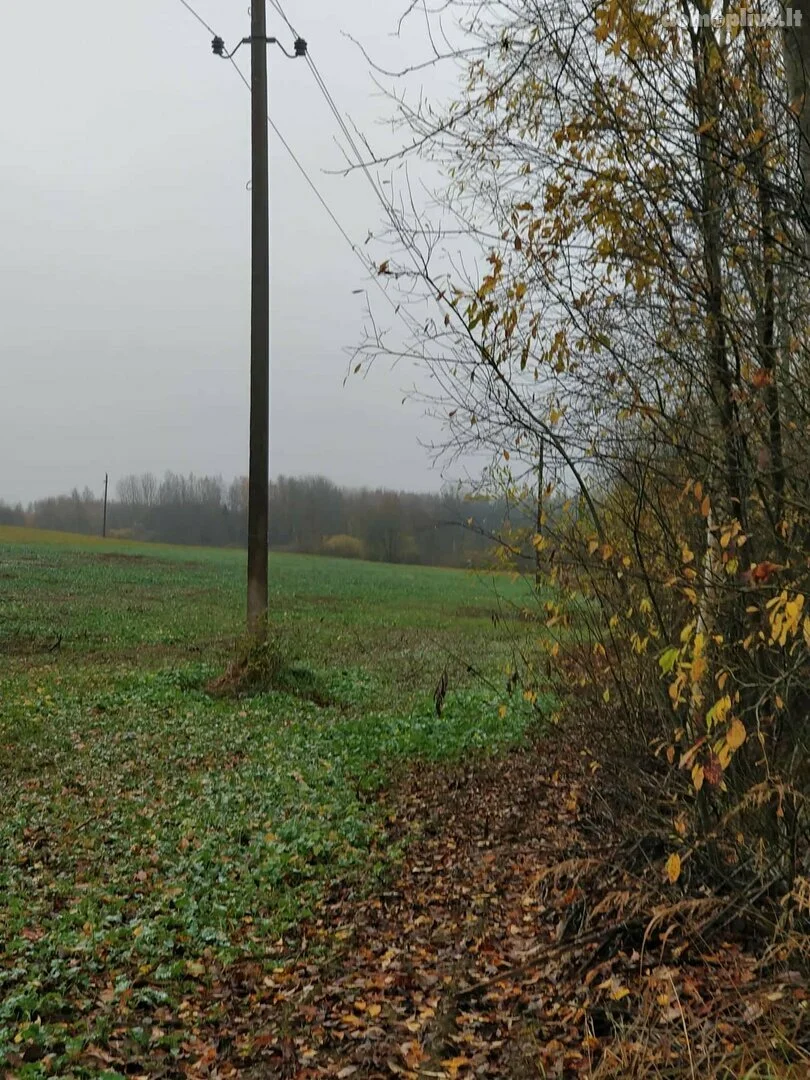 Sklypas Rokiškio rajono sav., Palankyje – nuotrauka 5