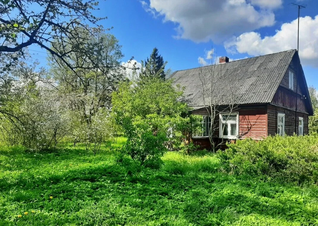 Sodyba Joniškio rajono sav., Senoji g. – nuotrauka 4