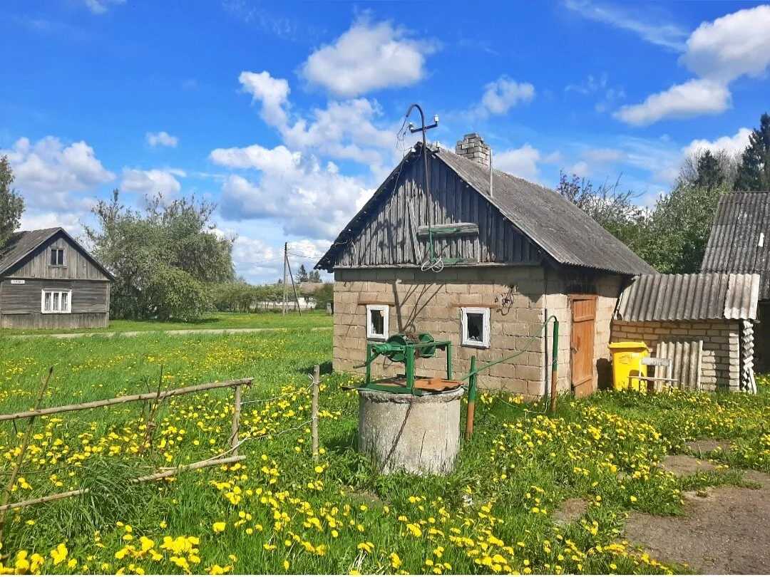 Sodyba Joniškio rajono sav., Senoji g. – nuotrauka 6