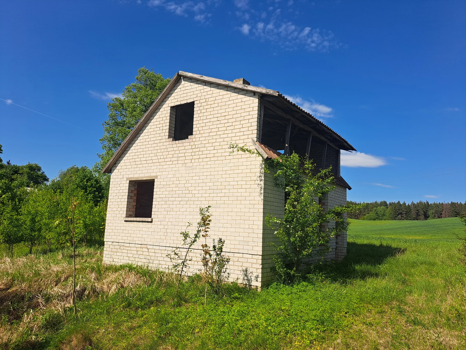 Gyvenamasis namas Lazdijų rajono sav., Verstaminuose, Miško g. – nuotrauka 6