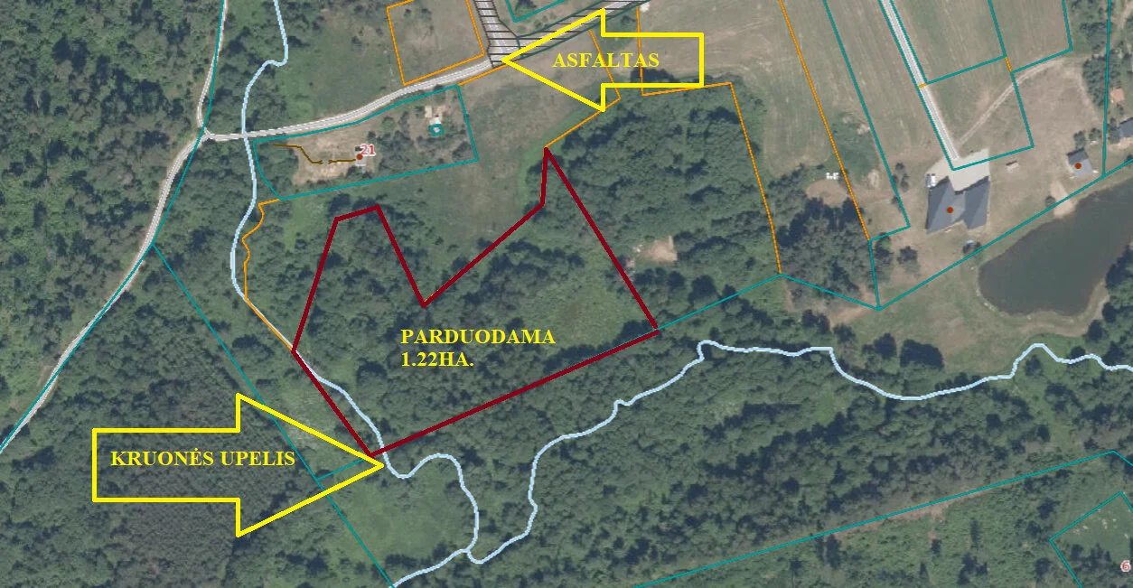 Sklypas Kaišiadorių rajono sav., Kruonyje – nuotrauka 4