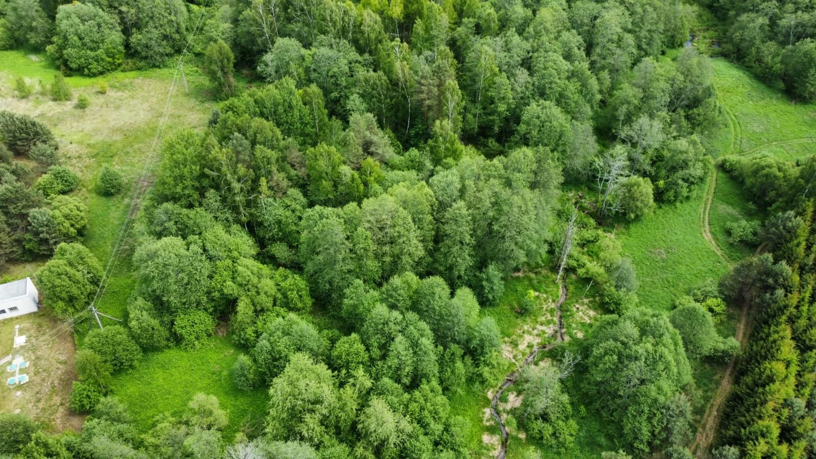 Sklypas Kaišiadorių rajono sav., Kruonyje – nuotrauka 6