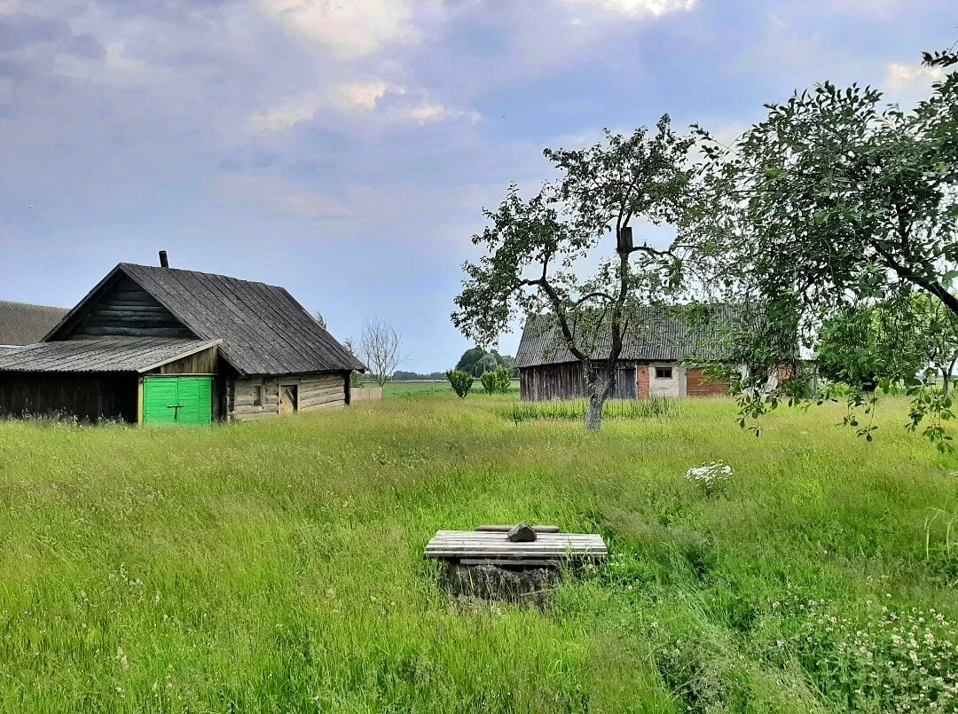 Sodyba Pasvalio rajono sav., Puškoniuose, Ramužių g. – nuotrauka 6
