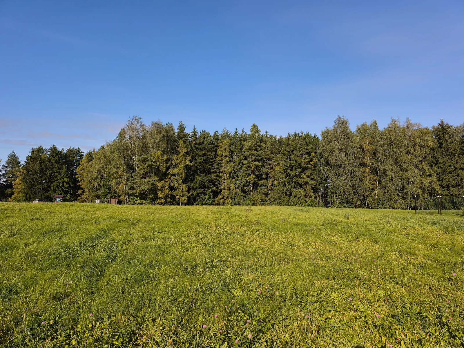 Sklypas Kupiškio rajono sav., Vėžionyse – nuotrauka 3
