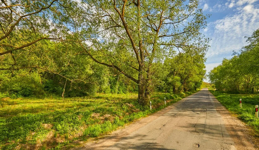 Sklypas Kauno rajono sav., Juodoniuose, Upės g. – nuotrauka 5