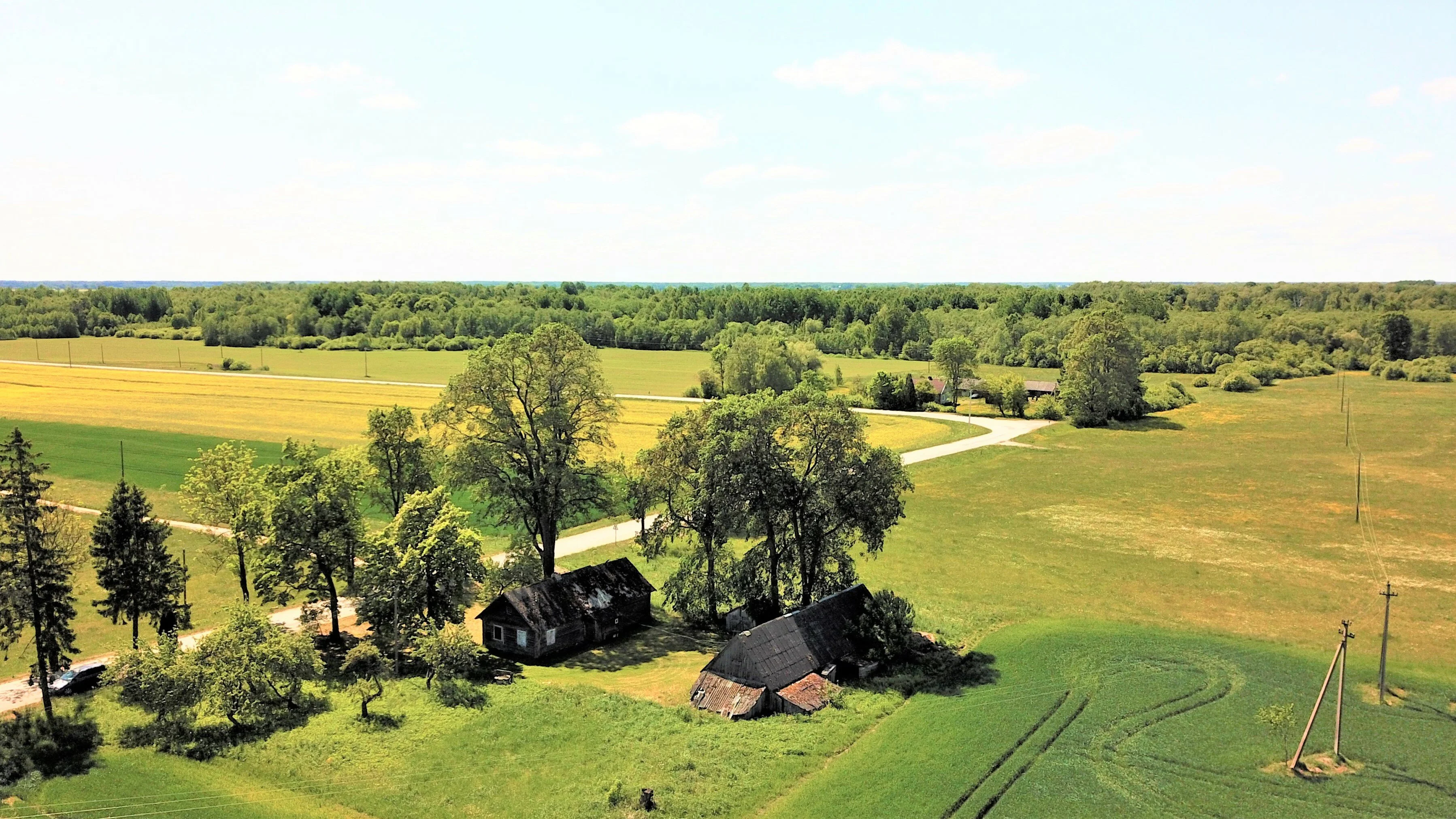 Sodyba Panevėžio rajono sav., Alantėse, Alančių g. – nuotrauka 3