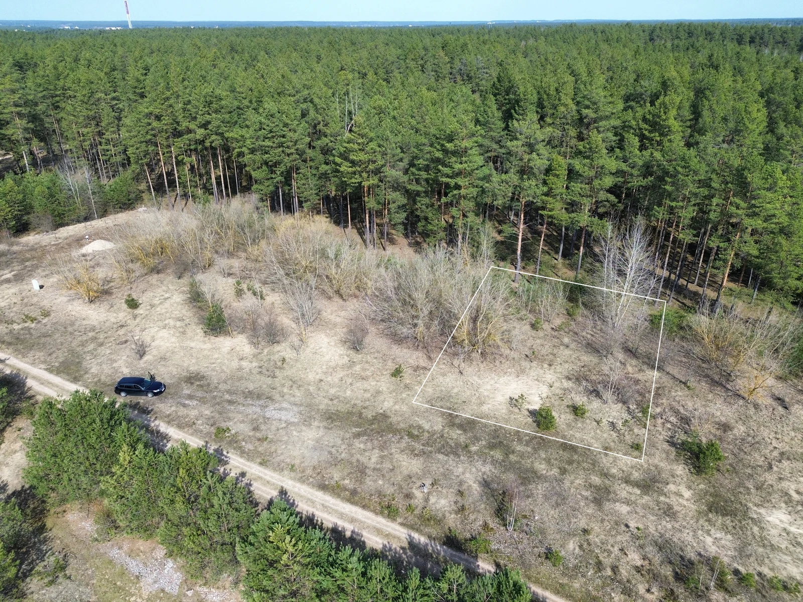 Listing image