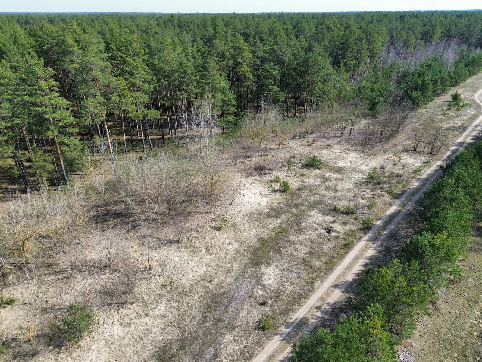 Sklypas Druskininkų sav., Druskininkuose, Pylimo g. – nuotrauka 5