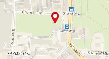 Parduodamas Gyvenamasis namas Kaune Centre, Vytauto pr.